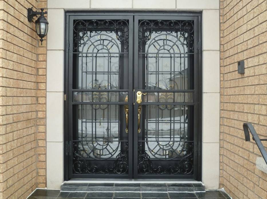 Metalex storm door double image